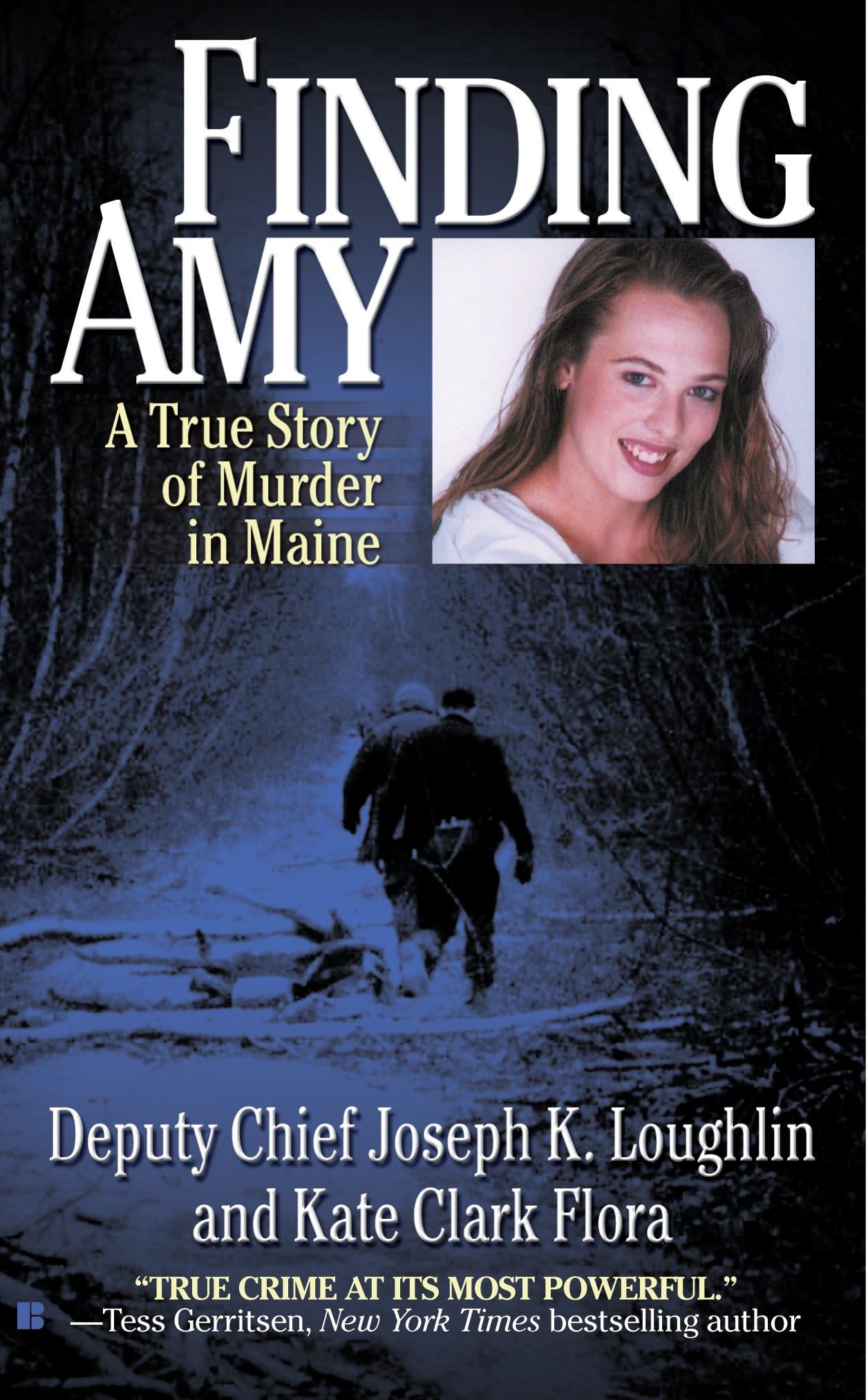 Version 1.0.0 Finding Amy book cover